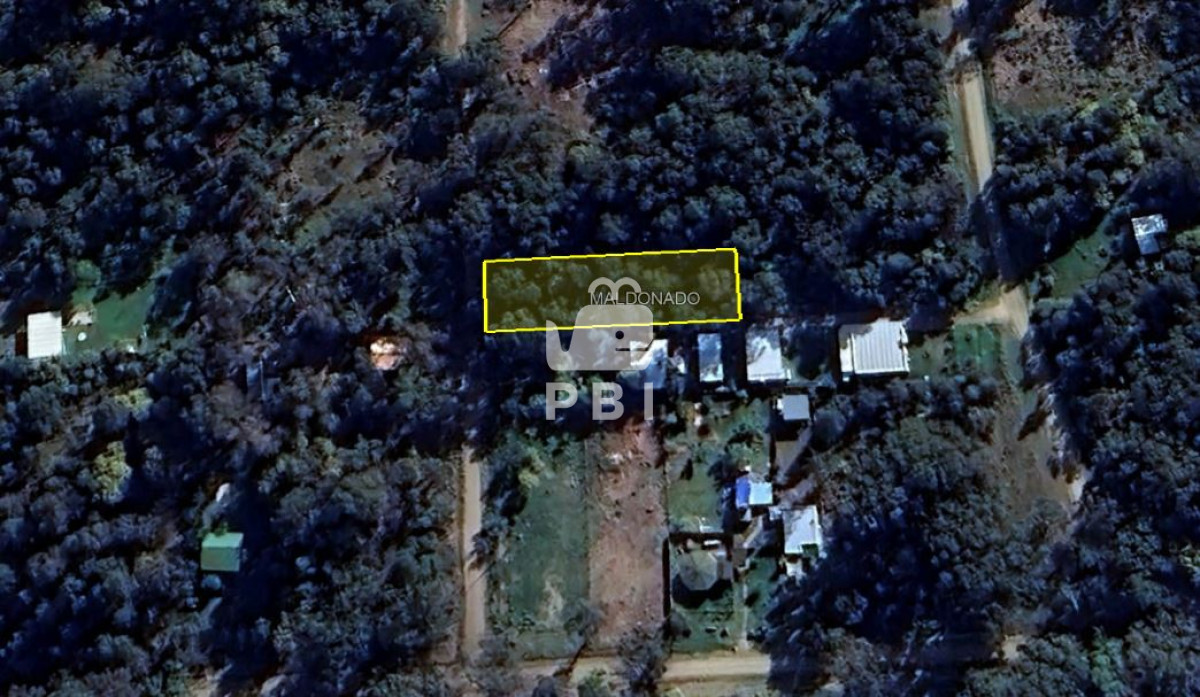 Sauce de Portezuelo - GoPunta - Portal Inmobiliario de Punta del Este - Maldonado