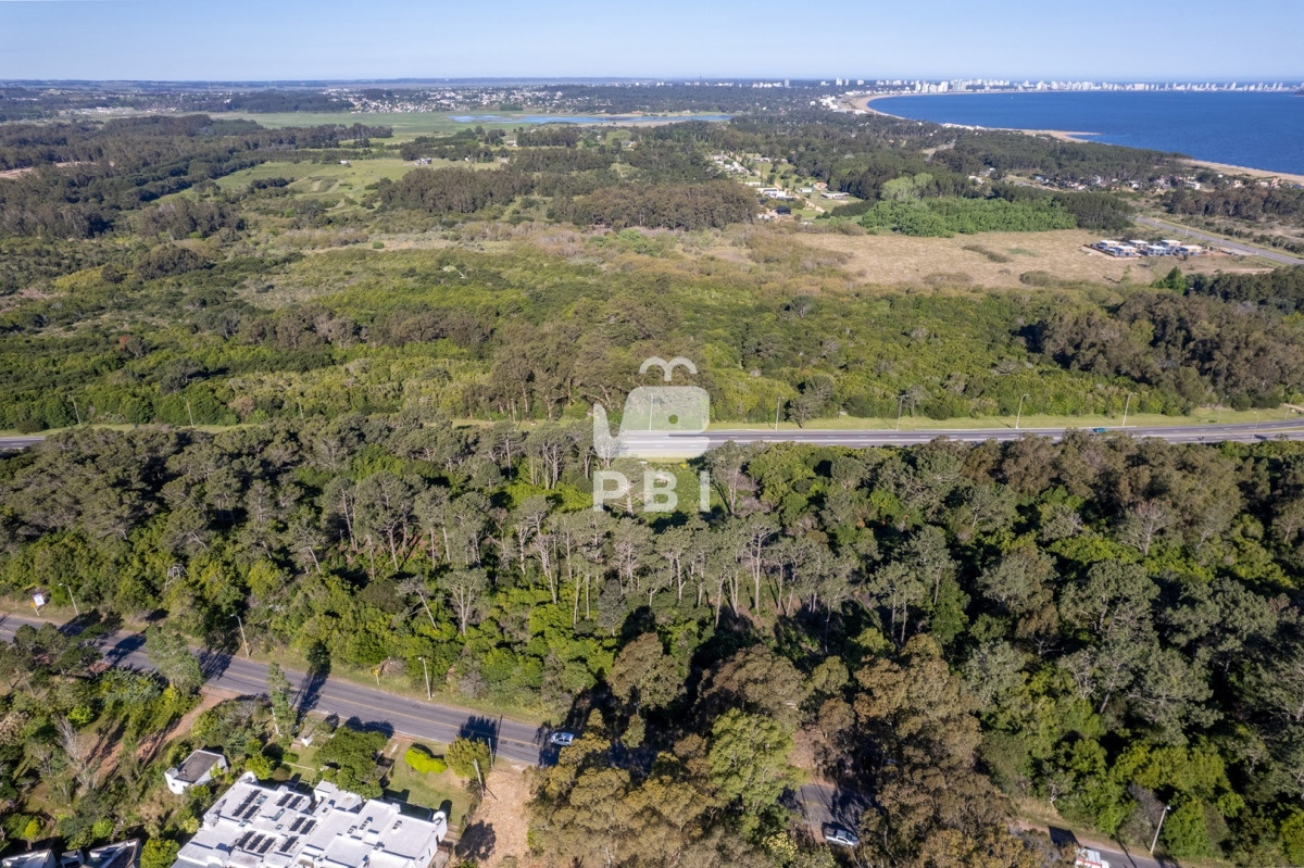 Lomo de la Ballena - GoPunta - Portal Inmobiliario de Punta del Este - Maldonado