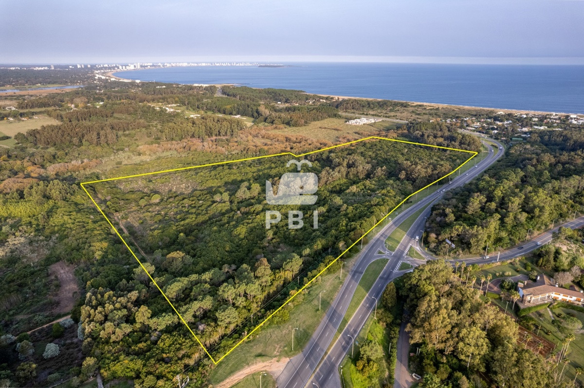Lomo de la Ballena - GoPunta - Portal Inmobiliario de Punta del Este - Maldonado
