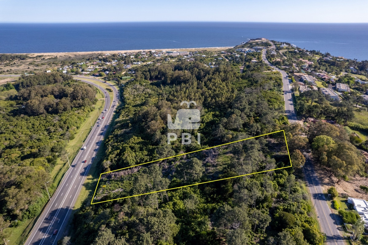 Lomo de la Ballena - GoPunta - Portal Inmobiliario de Punta del Este - Maldonado