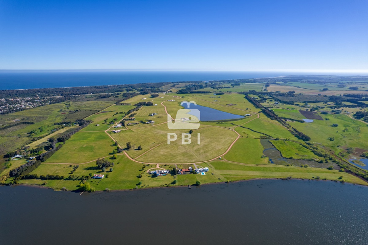 Laguna de los Cisnes - GoPunta - Portal Inmobiliario de Punta del Este - Maldonado