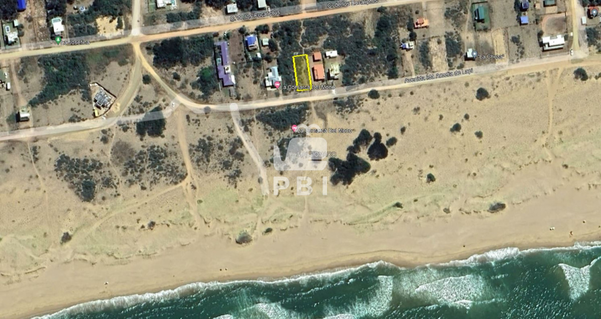 Sauce de Portezuelo - GoPunta - Portal Inmobiliario de Punta del Este - Maldonado