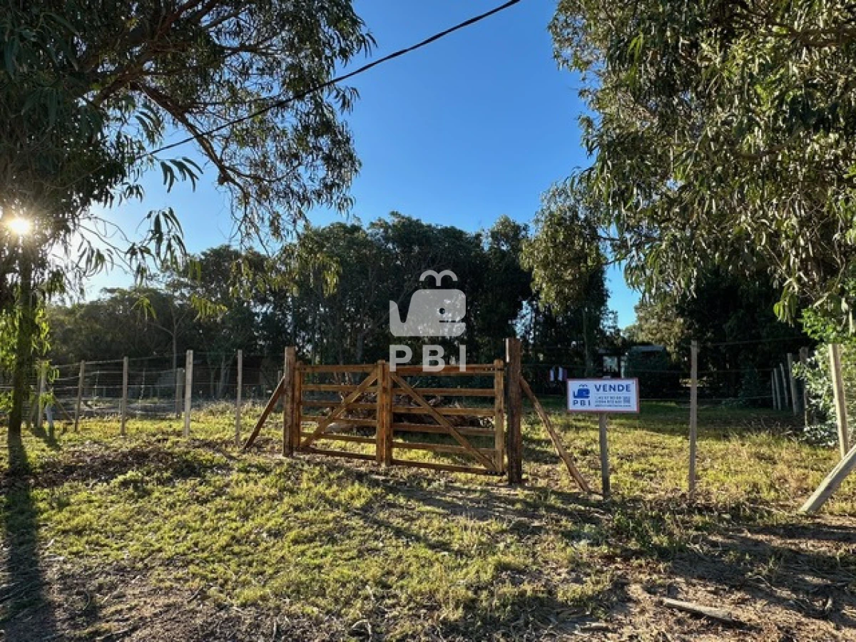 Departamentos y Casas en Punta del Este, Alquileres
