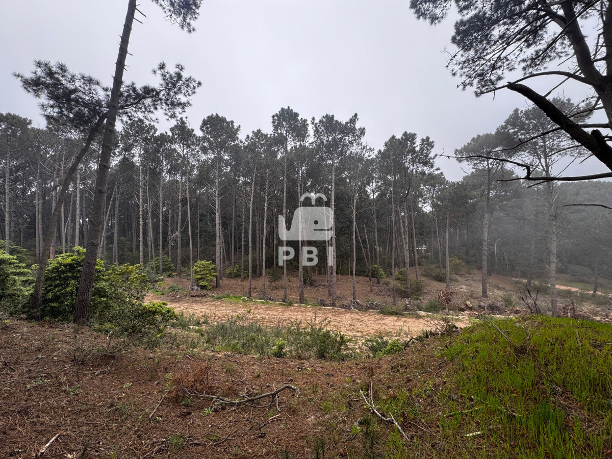 VGVycmVubyBmcmVudGUgYSBsYSBsYWd1bmEgZW4gQ2x1YiBkZWwgTGFnbywgUHVudGEgQmFsbGVuYSAtIFJlZiA6IFBCSTI5Njc=