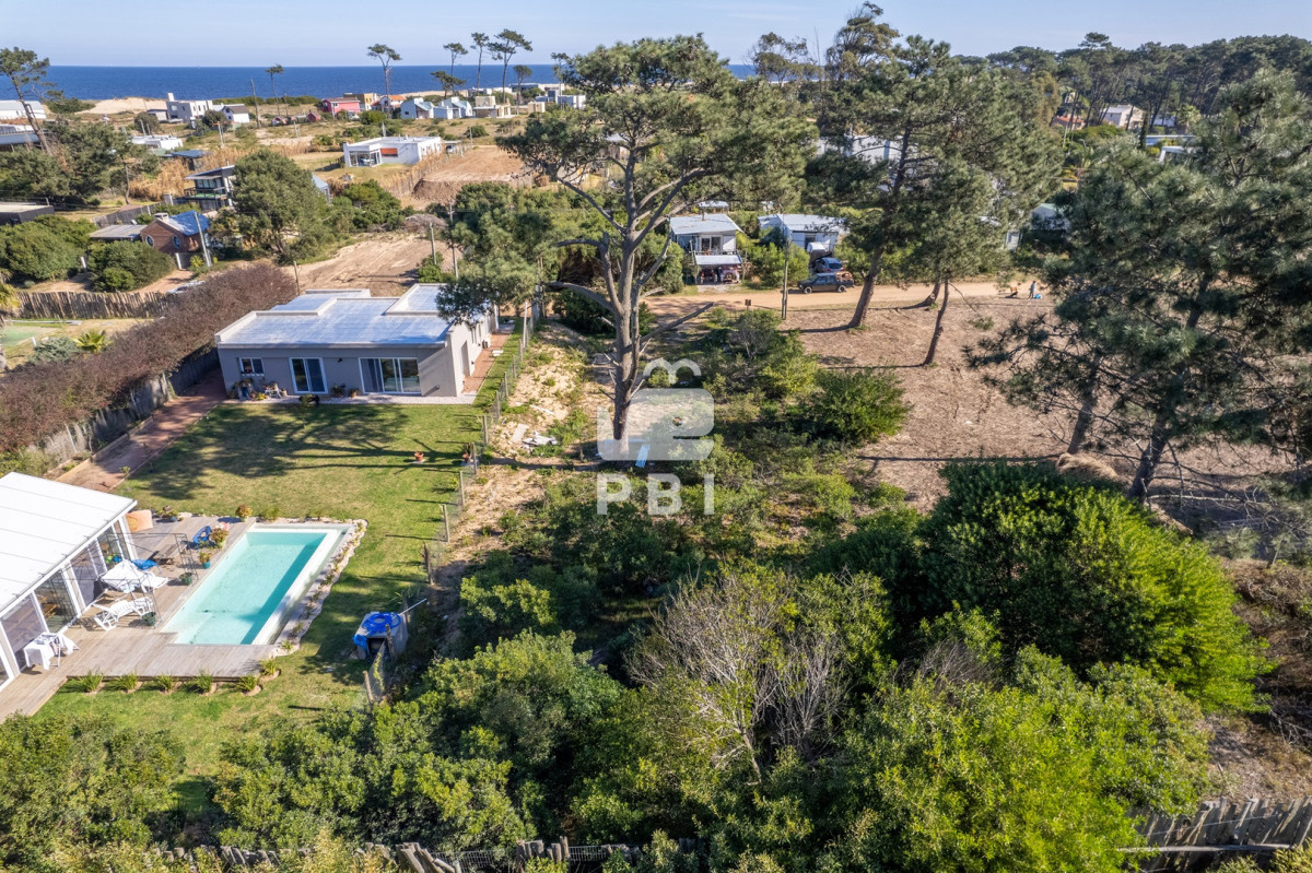 Chihuahua - GoPunta - Portal Inmobiliario de Punta del Este - Maldonado
