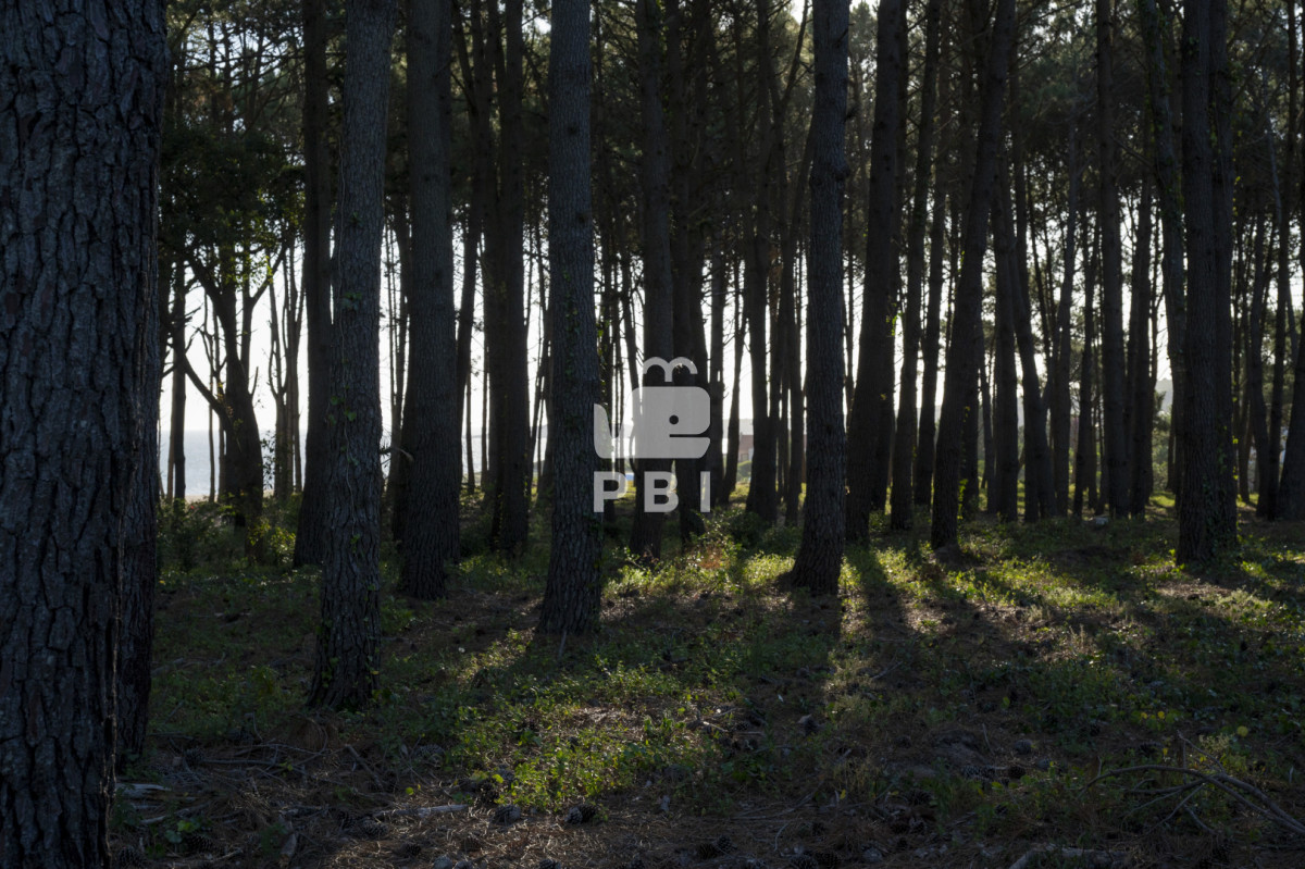 VGVycmVubyBlbiB2ZW50YSBlbiBiYXJyaW8gcHJpdmFkbyBBc3RyYSwgUHVudGEgQmFsbGVuYSAtIFJlZiA6IFBCSTE1NTU2