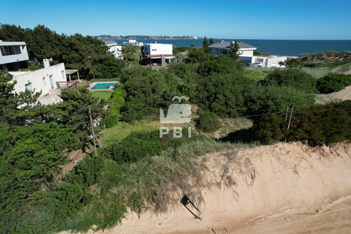 Tio Tom - GoPunta - Portal Inmobiliario de Punta del Este - Maldonado