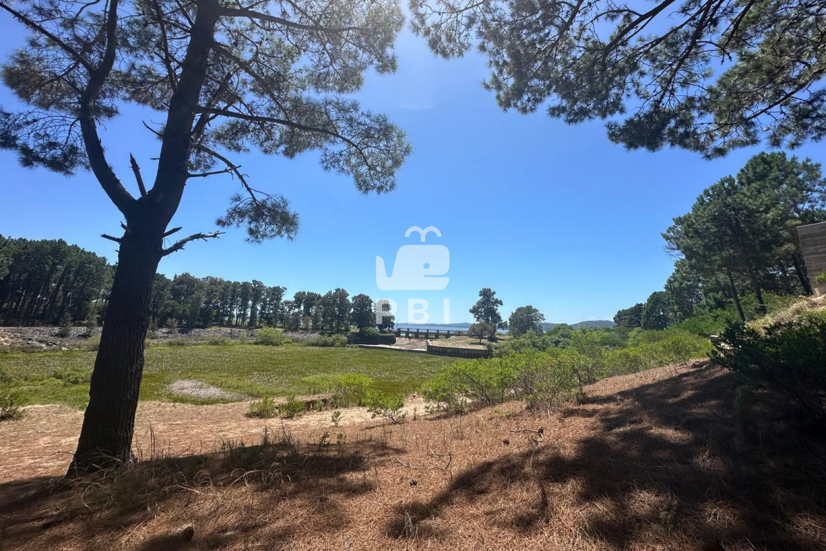 VGVycmVubyBlbiB2ZW50YSBlbiBDbHViIGRlbCBMYWdvLCBQdW50YSBCYWxsZW5hLiAtIFJlZiA6IFBCSTE1NjY3