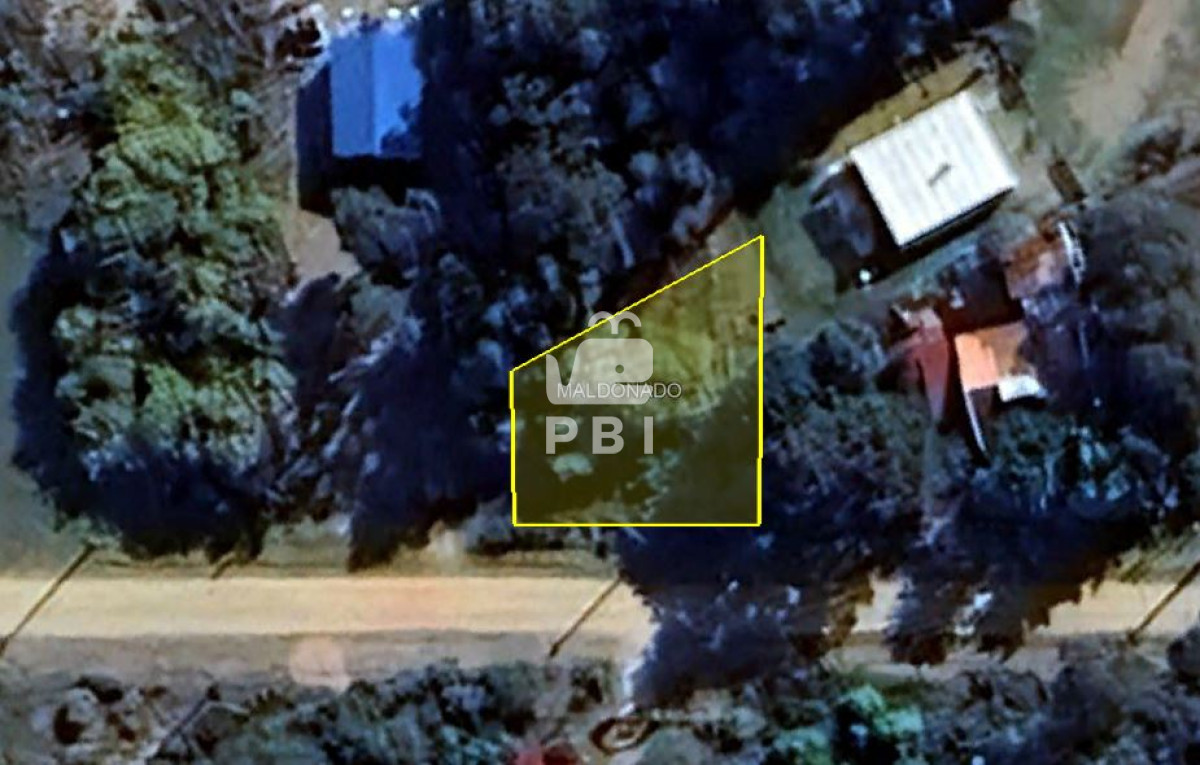 Sauce de Portezuelo - GoPunta - Portal Inmobiliario de Punta del Este - Maldonado