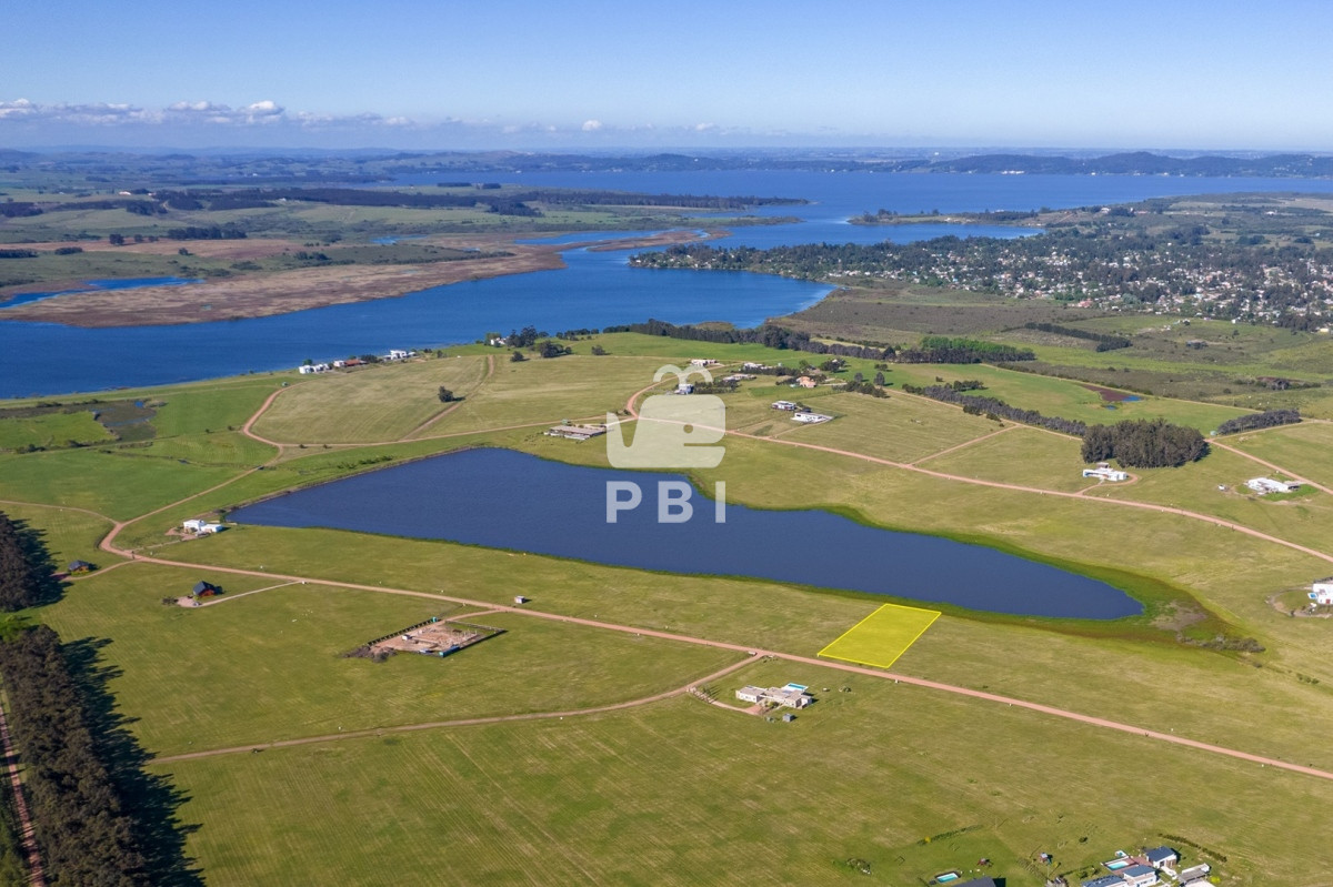 Laguna de los Cisnes - GoPunta - Portal Inmobiliario de Punta del Este - Maldonado