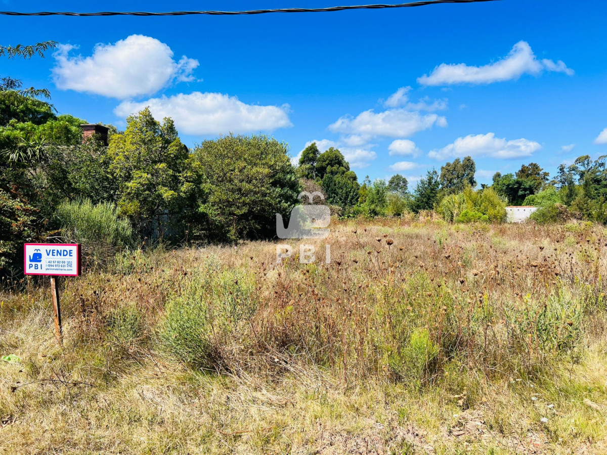 VGVycmVubyBlbiB2ZW50YSBlbiBMYXMgRmxvcmVzLCBQaXJpw6Fwb2xpcyAgLSBSZWYgOiBQQkkxNTY3Nw==