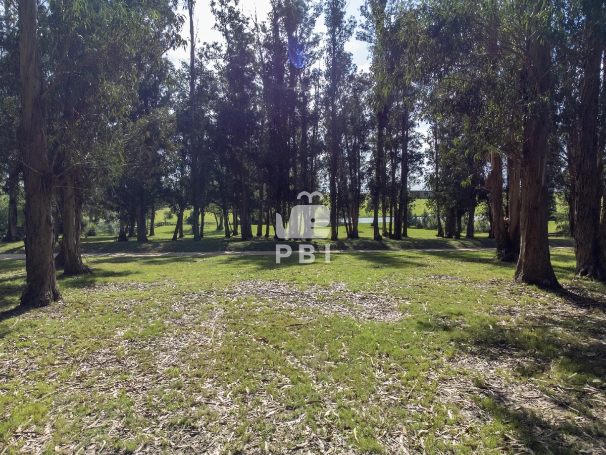 El Quijote - GoPunta - Portal Inmobiliario de Punta del Este - Maldonado