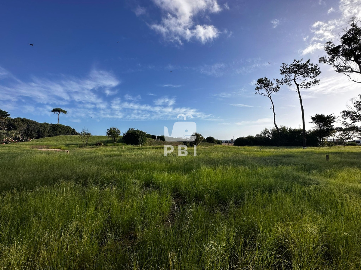 Solanas - GoPunta - Portal Inmobiliario de Punta del Este - Maldonado