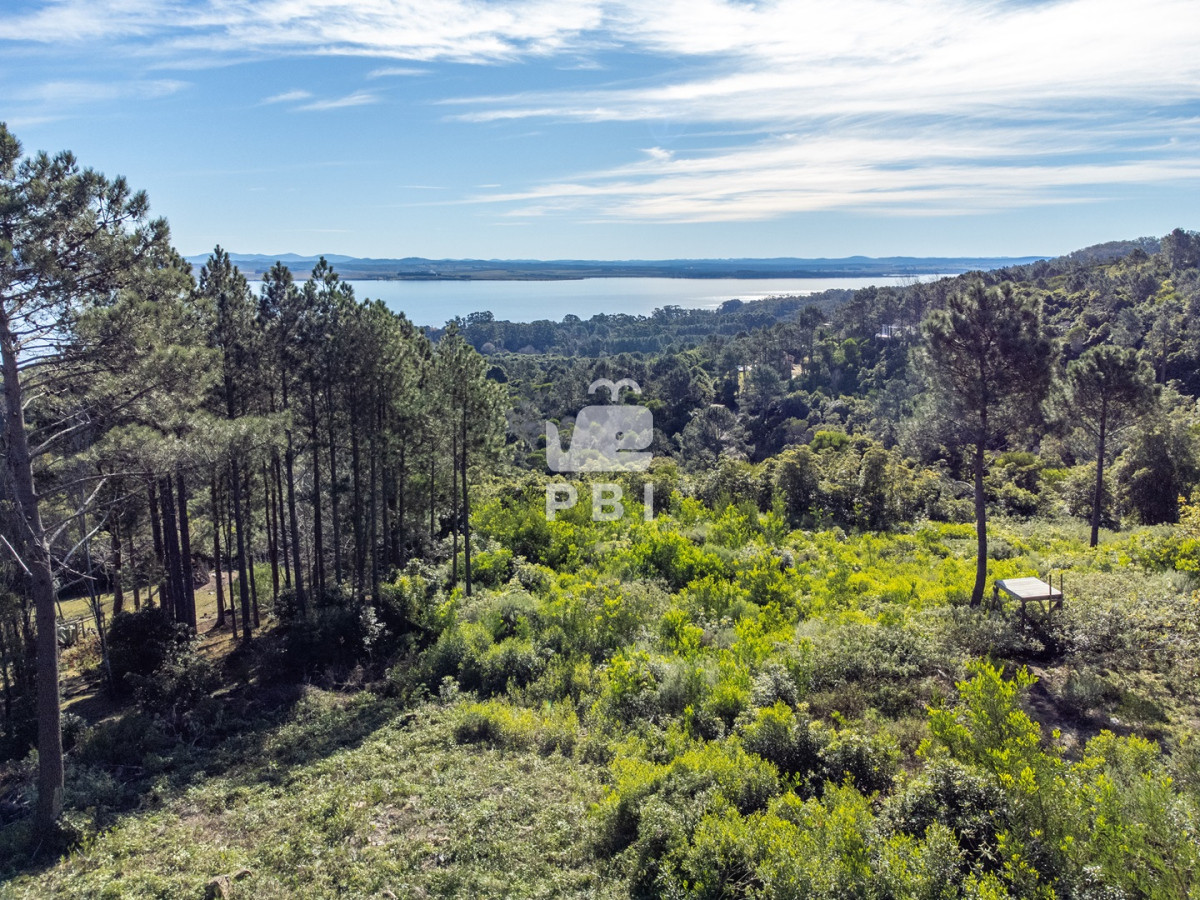 Las Cumbres - GoPunta - Portal Inmobiliario de Punta del Este - Maldonado