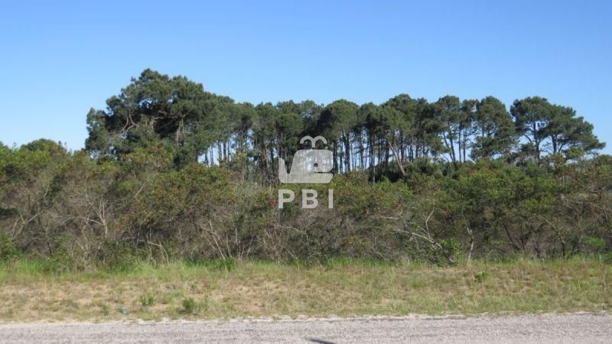 Club del Lago - GoPunta - Portal Inmobiliario de Punta del Este - Maldonado