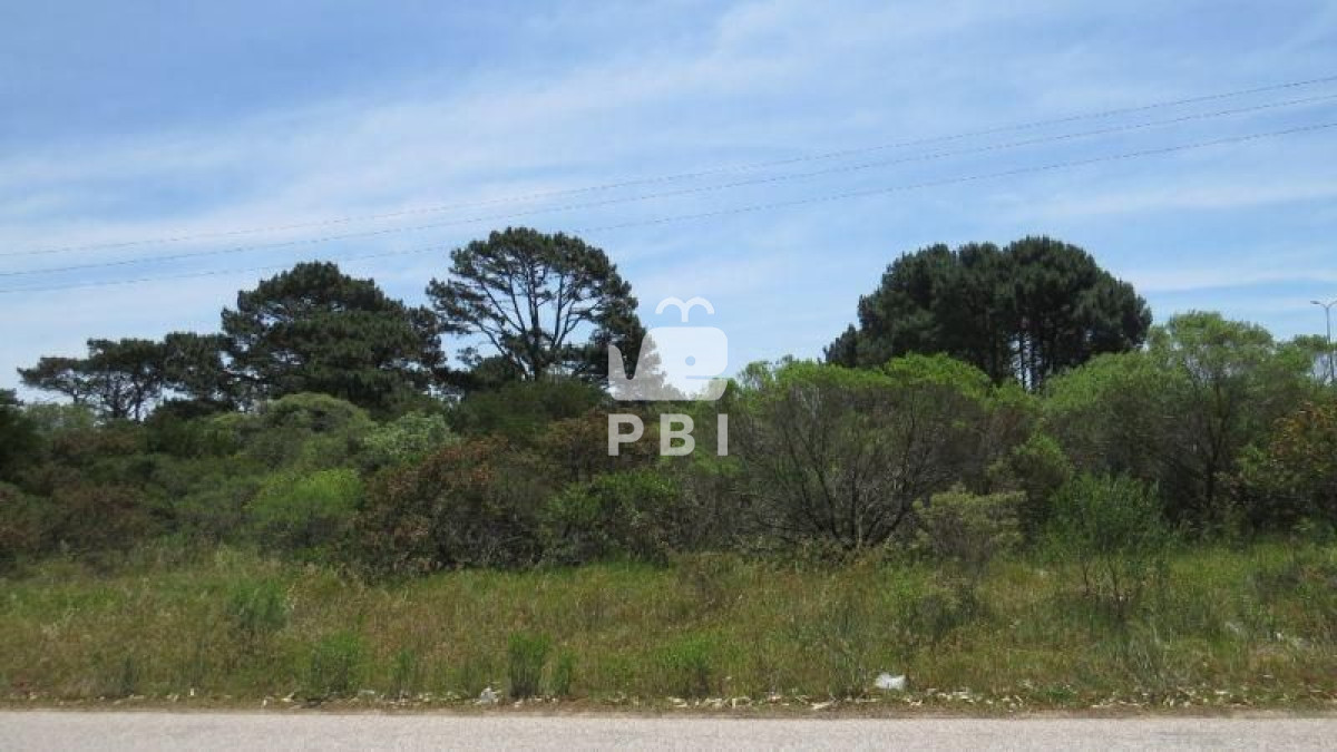 Propiedad - GoPunta - Portal Inmobiliario de Punta del Este - Maldonado