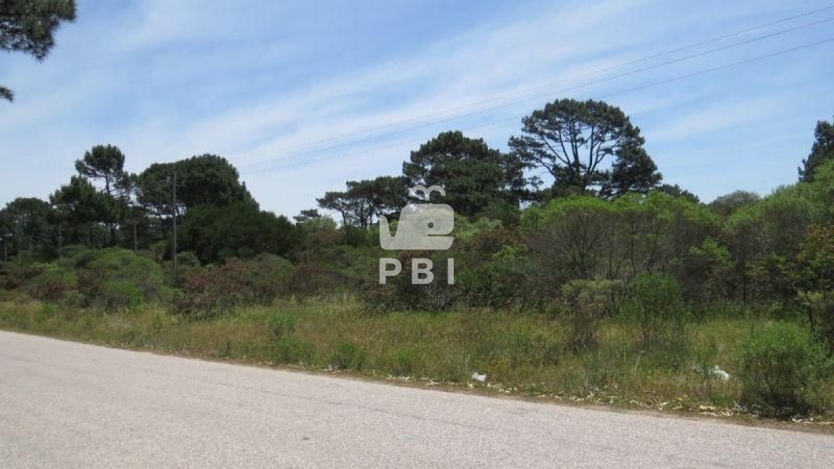 Propiedad - GoPunta - Portal Inmobiliario de Punta del Este - Maldonado