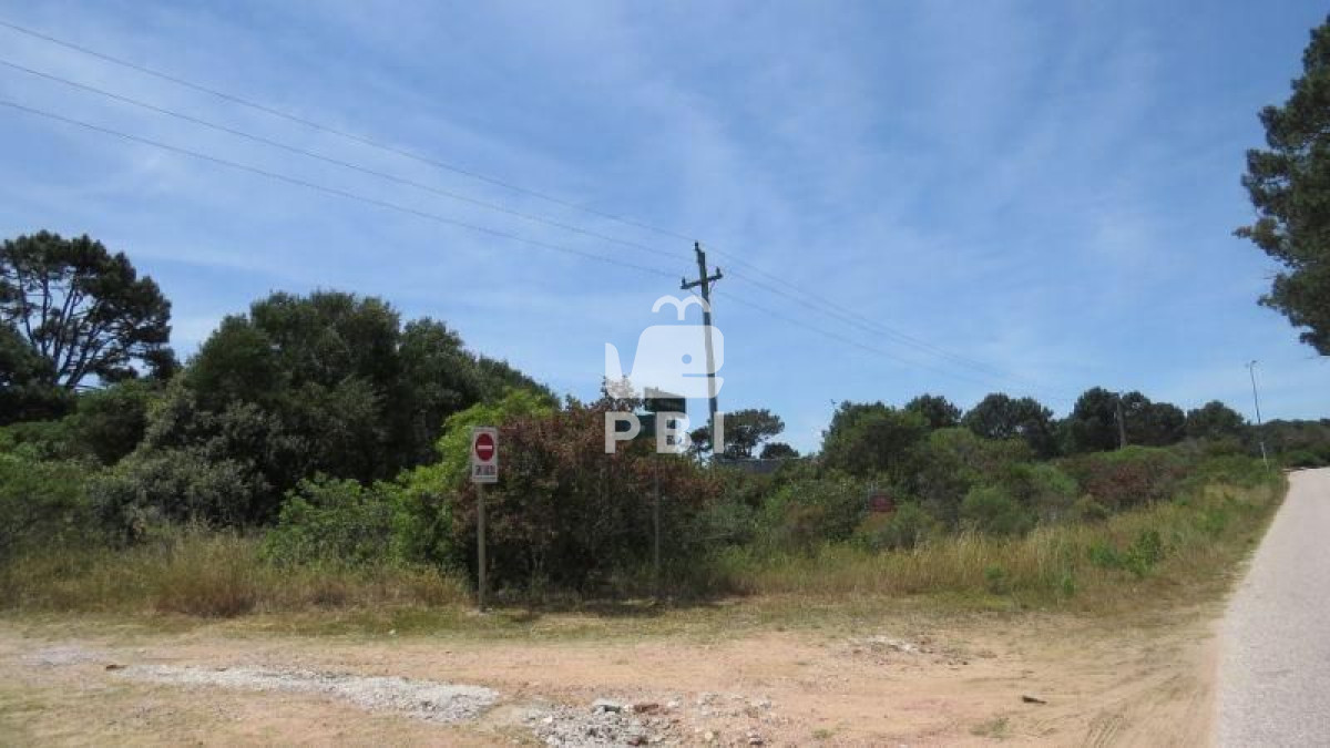 Propiedad - GoPunta - Portal Inmobiliario de Punta del Este - Maldonado