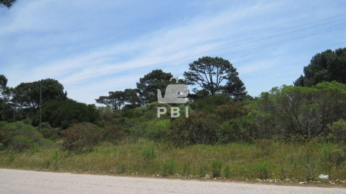 Propiedad - GoPunta - Portal Inmobiliario de Punta del Este - Maldonado