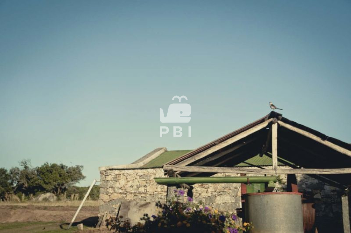 Las Cañas - GoPunta - Portal Inmobiliario de Punta del Este - Maldonado
