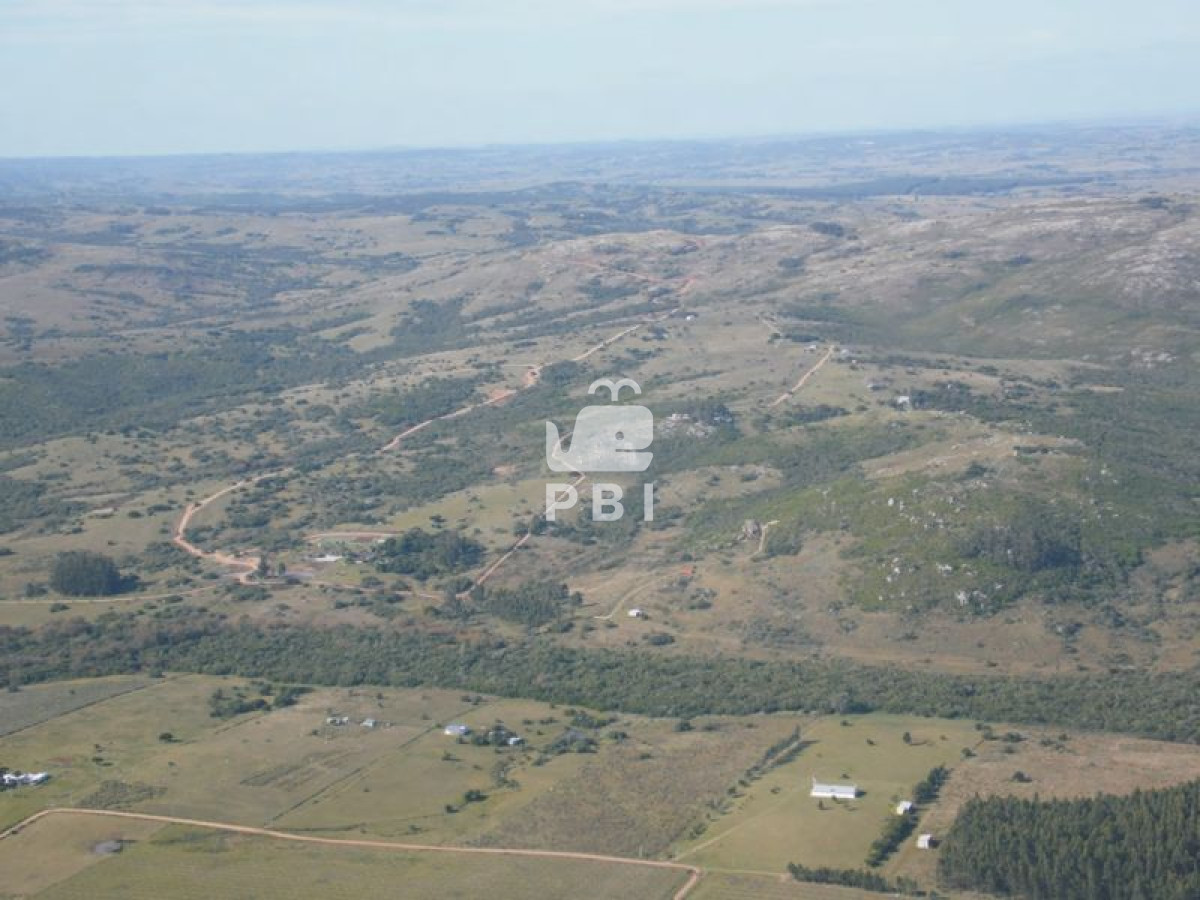 Las Cañas - GoPunta - Portal Inmobiliario de Punta del Este - Maldonado
