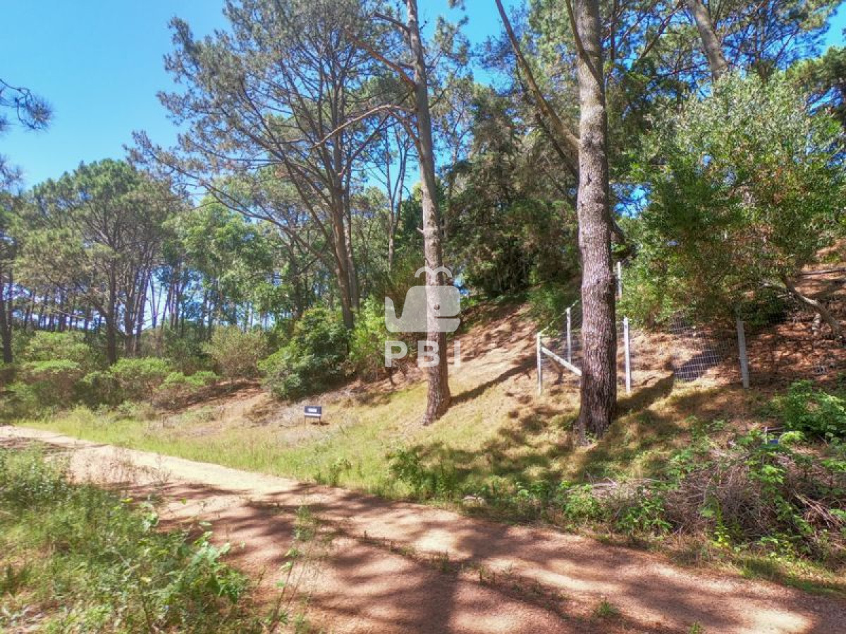 Club del Lago - GoPunta - Portal Inmobiliario de Punta del Este - Maldonado
