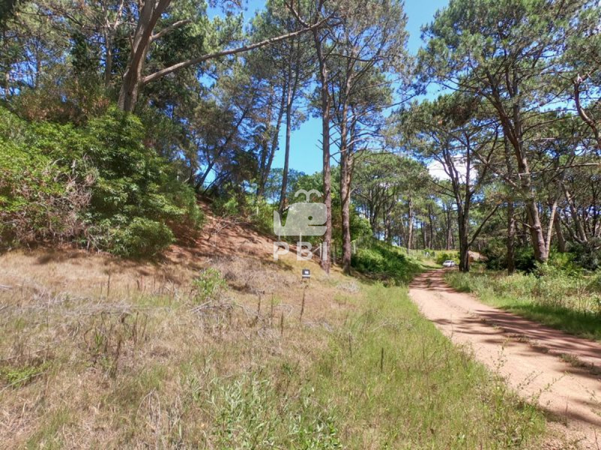 Club del Lago - GoPunta - Portal Inmobiliario de Punta del Este - Maldonado