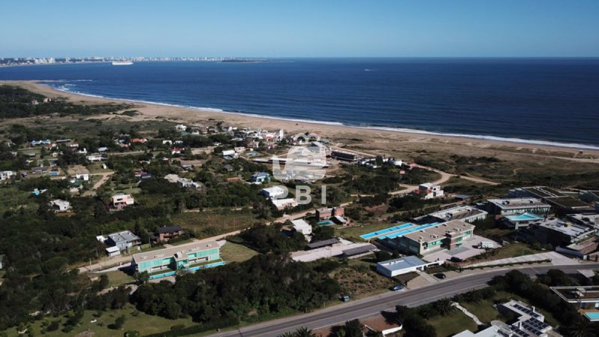 Lomo de la Ballena - GoPunta - Portal Inmobiliario de Punta del Este - Maldonado