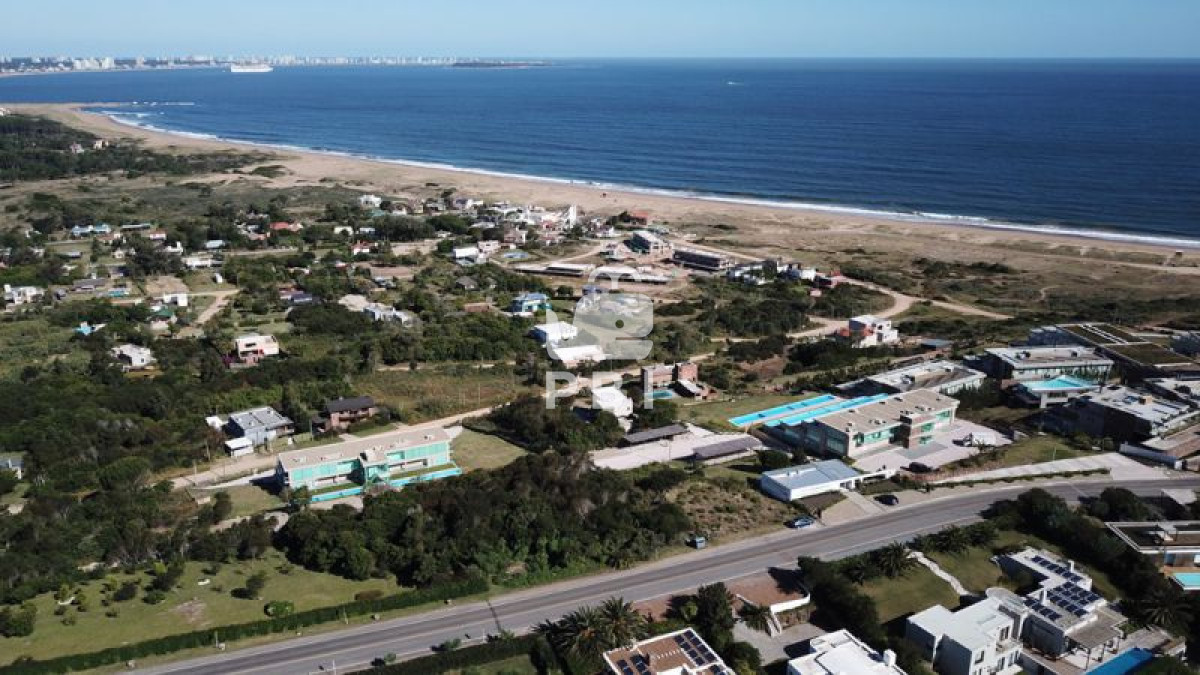 Lomo de la Ballena - GoPunta - Portal Inmobiliario de Punta del Este - Maldonado