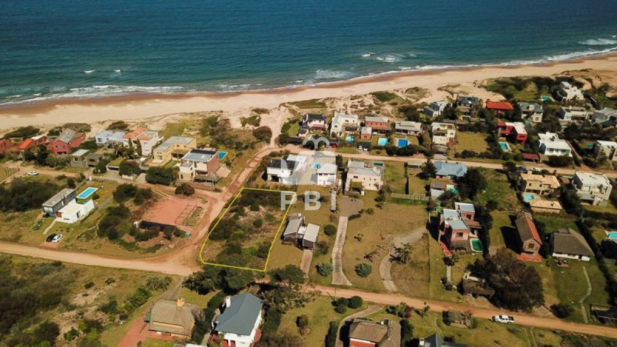 Tio Tom - GoPunta - Portal Inmobiliario de Punta del Este - Maldonado