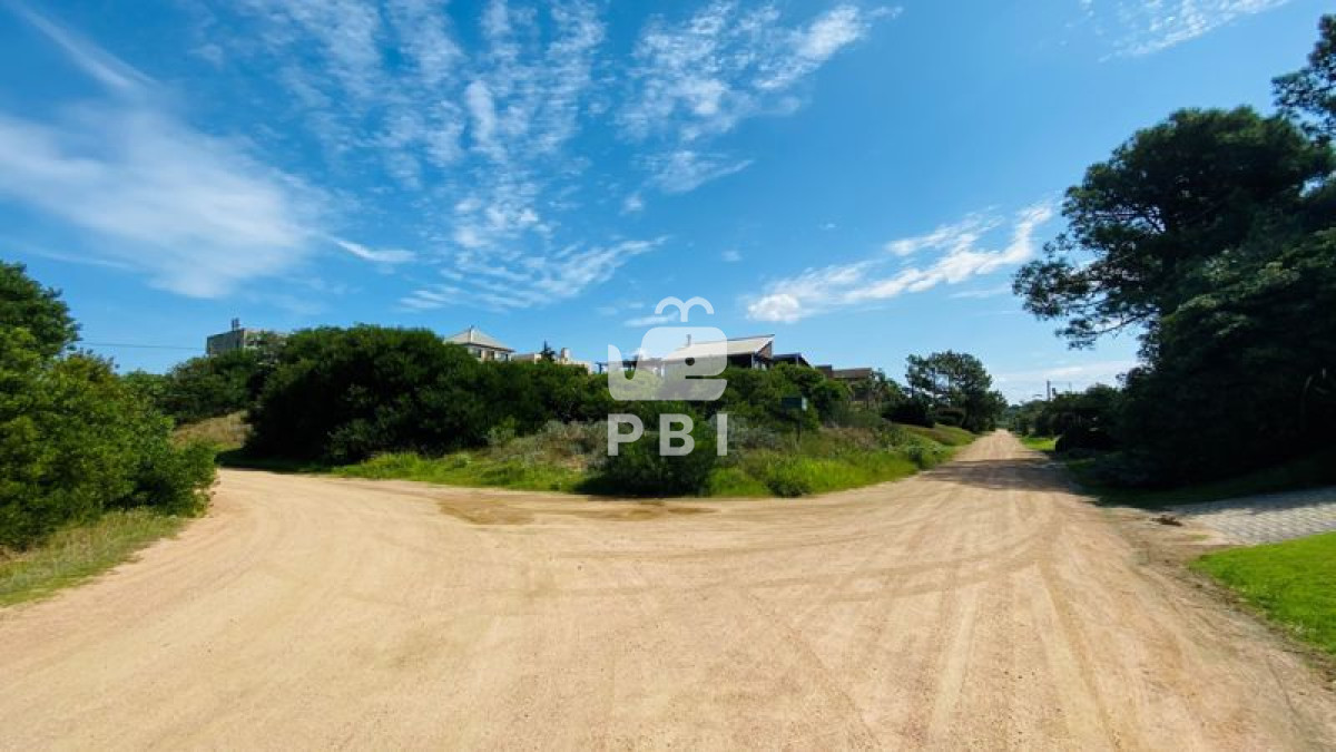 Tio Tom - GoPunta - Portal Inmobiliario de Punta del Este - Maldonado