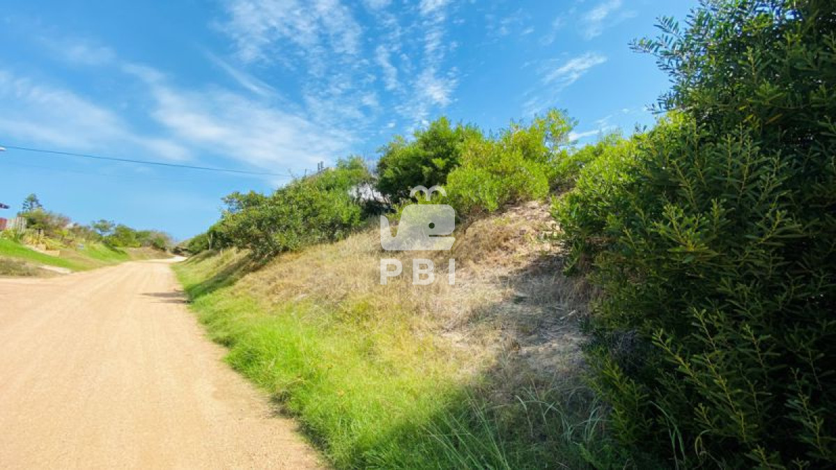 Tio Tom - GoPunta - Portal Inmobiliario de Punta del Este - Maldonado