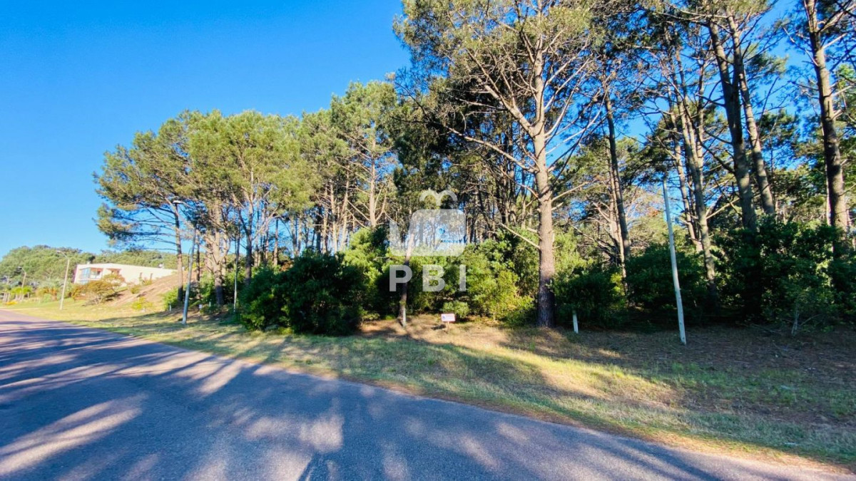 Club del Lago - GoPunta - Portal Inmobiliario de Punta del Este - Maldonado