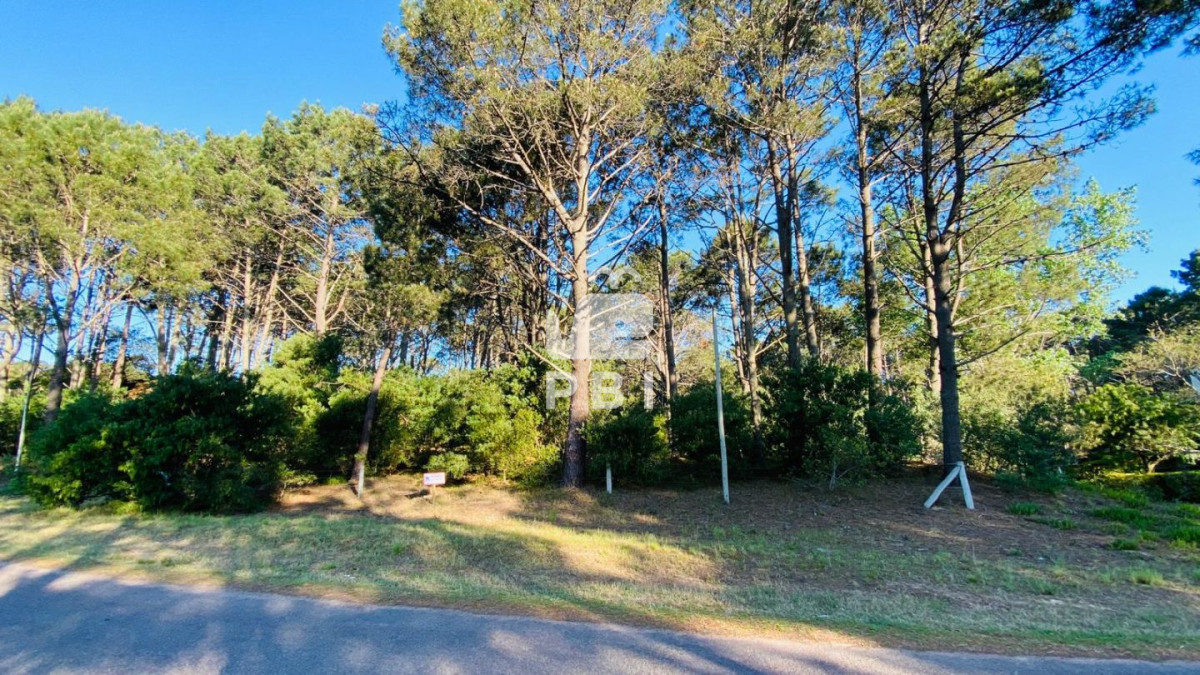 Club del Lago - GoPunta - Portal Inmobiliario de Punta del Este - Maldonado