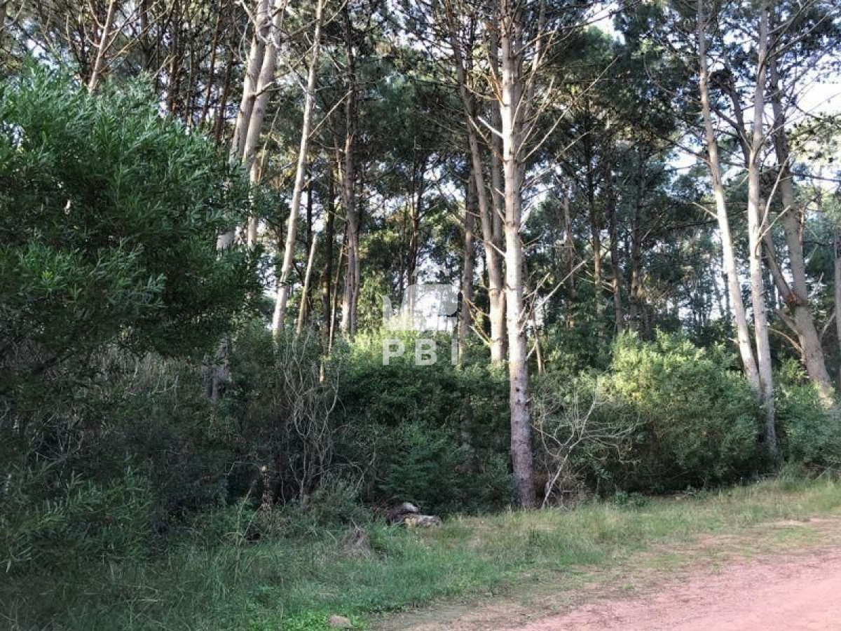 Club del Lago - GoPunta - Portal Inmobiliario de Punta del Este - Maldonado