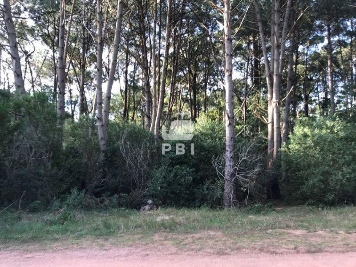 Club del Lago - GoPunta - Portal Inmobiliario de Punta del Este - Maldonado