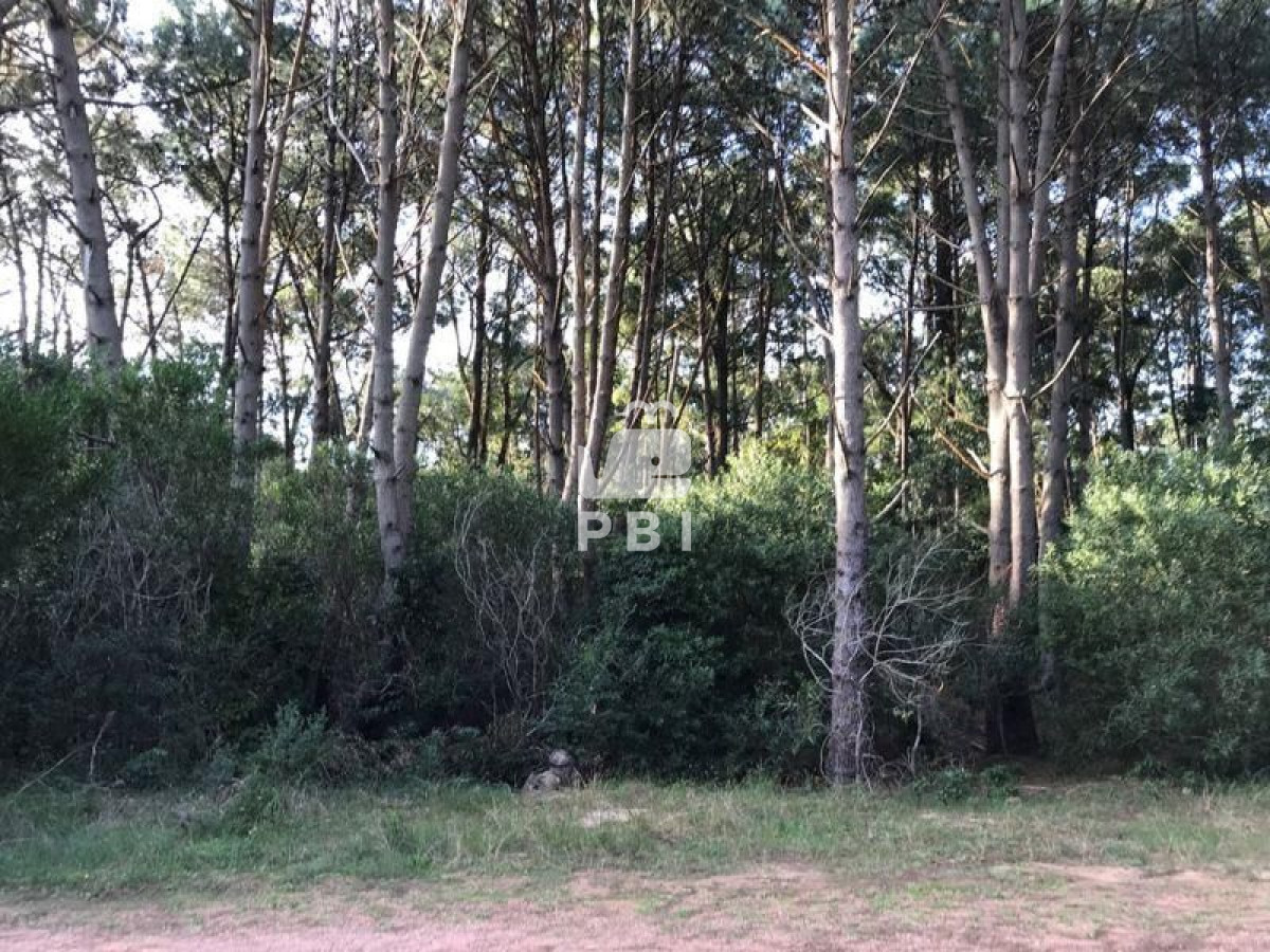 Club del Lago - GoPunta - Portal Inmobiliario de Punta del Este - Maldonado