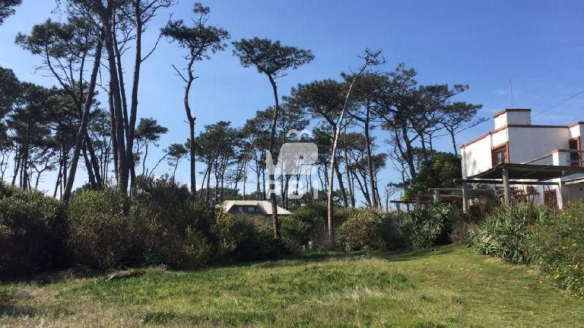 Propiedad - GoPunta - Portal Inmobiliario de Punta del Este - Maldonado