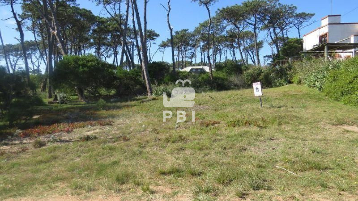 Propiedad - GoPunta - Portal Inmobiliario de Punta del Este - Maldonado