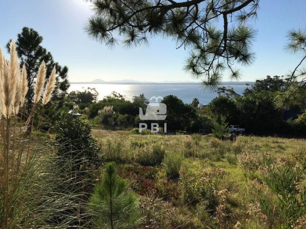 Lomo de la Ballena - GoPunta - Portal Inmobiliario de Punta del Este - Maldonado