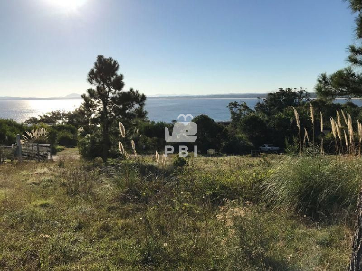 Lomo de la Ballena - GoPunta - Portal Inmobiliario de Punta del Este - Maldonado