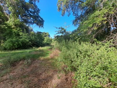 Lote en venta gran oportunidad de inversión - Ref : PBI14603