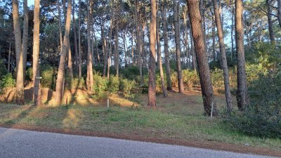 Venta de lote en Club del Lago  - Ref : PBI2842