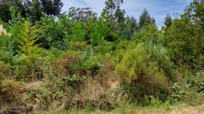 lote con excelente ubicación en Verdemar - Ref : PBI13344
