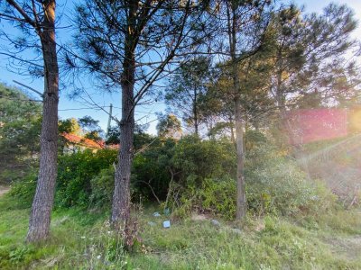 Lote en Tio Tom, Punta Ballena - Ref : PBI2757