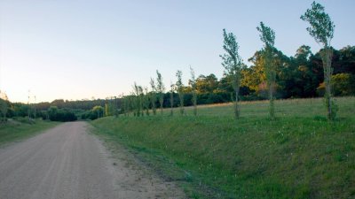 Lote en Punta Ballena, Maldonado - Ref : PBI2722