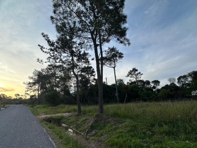 Terreno en Ocean Park - Ref : PBI2920
