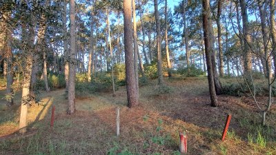 Venta de lote en Club del Lago  - Ref : PBI2841