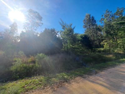 Venta de lote en  Eden Rock - Ref : PBI14740