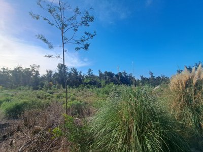 Venta de lote Eden Rock - Ref : PBI14741